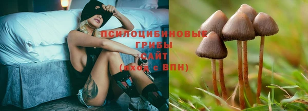 шишки Абинск