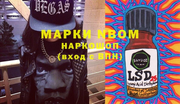 шишки Абинск