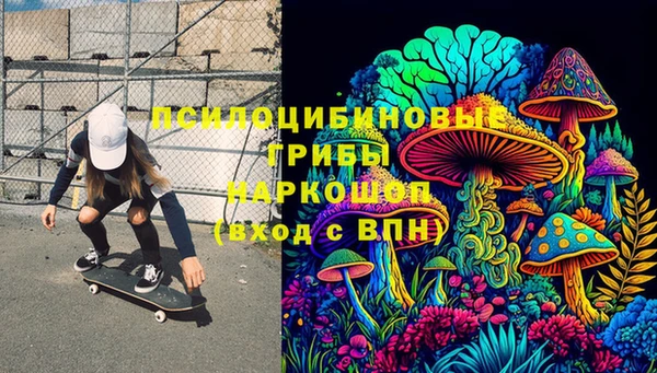 шишки Абинск