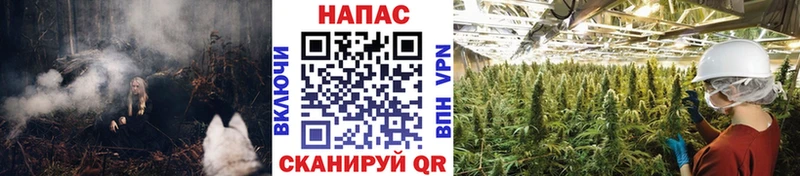 mega tor  Ак-Довурак  Каннабис OG Kush 